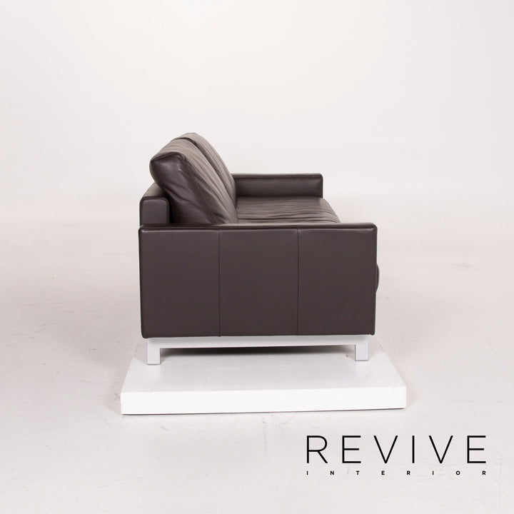 Freistil Rolf Benz Leather Sofa Dark Brown Three Seater #14654