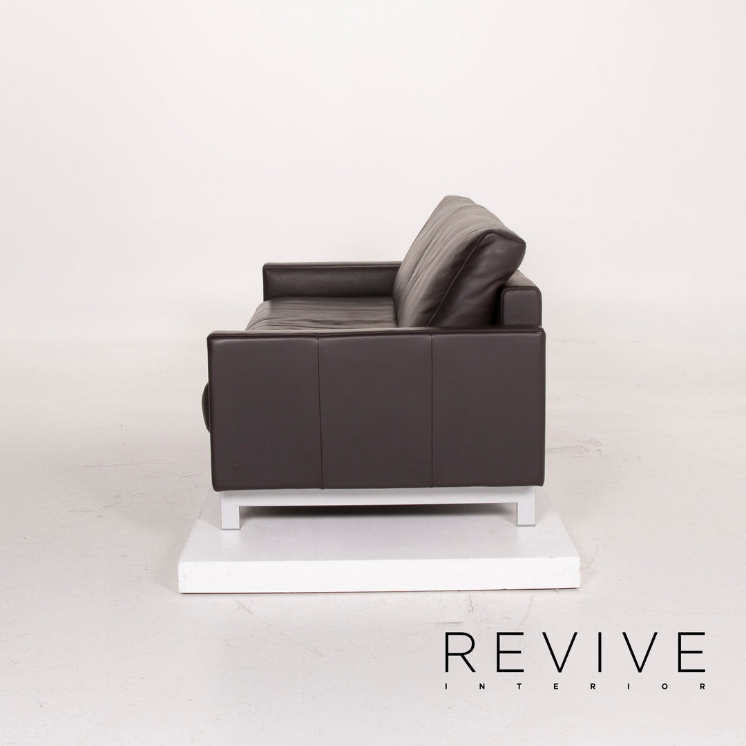 Freistil Rolf Benz Leather Sofa Dark Brown Three Seater #14654