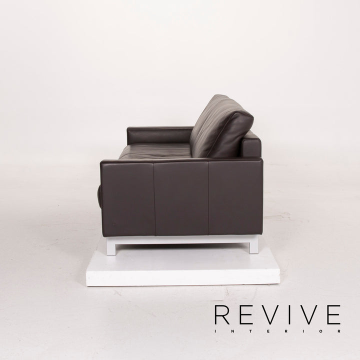 Freistil Rolf Benz Leather Sofa Dark Brown Three Seater #14654