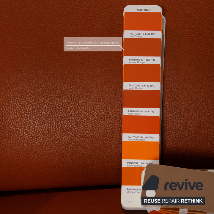 FSM Pavo Leder Sessel Cognac Funktion