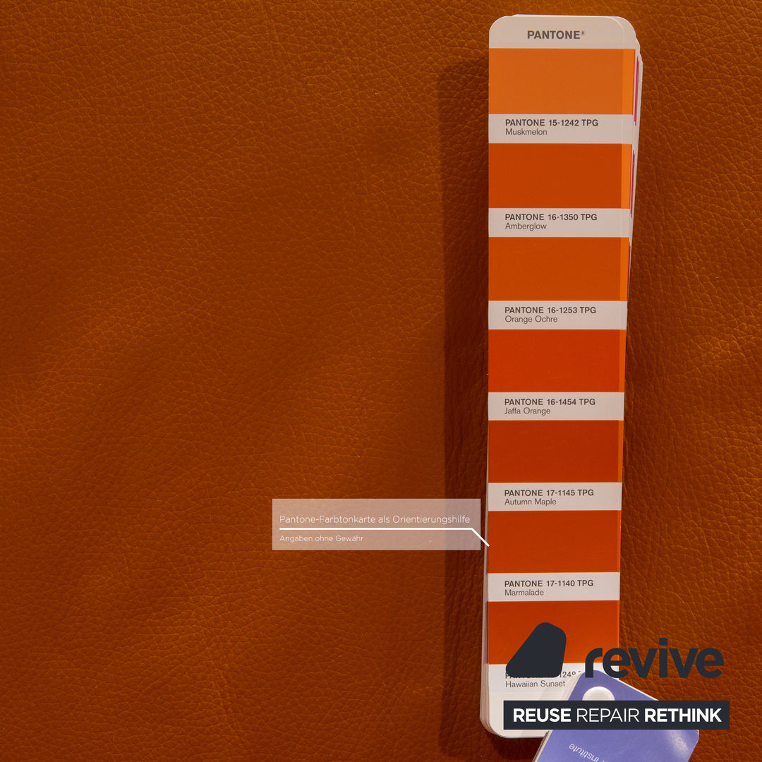 Himolla Cumuly Leather Armchair Orange Saffron