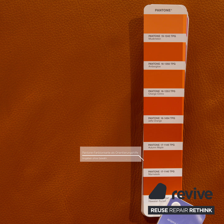 Himolla Cumuly Leather Armchair Orange Saffron