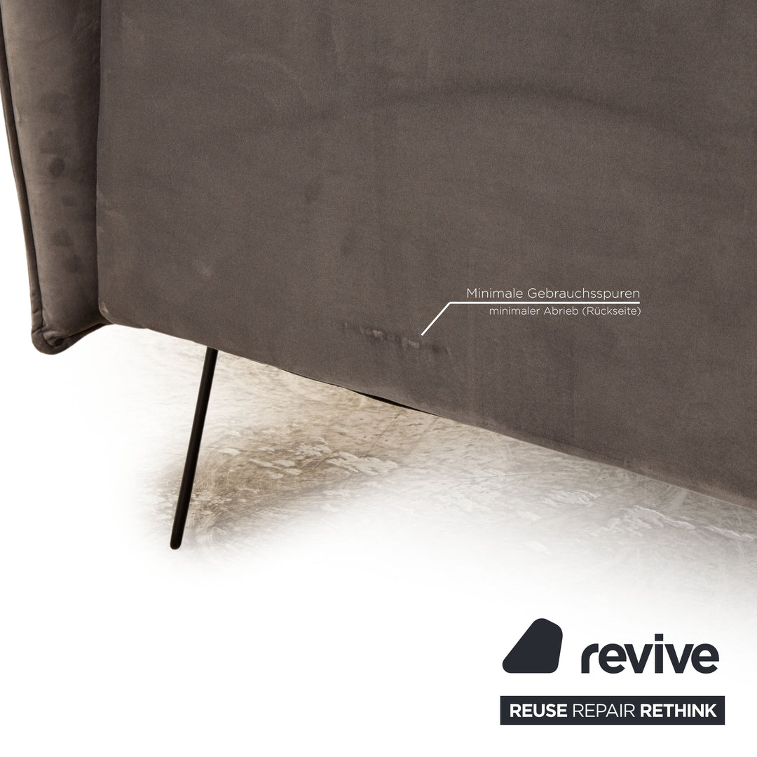 IconX STUDIOS Edesia Velvet Fabric Sofa Two Seater Grey