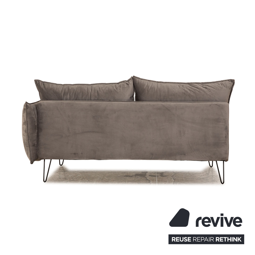 IconX STUDIOS Edesia Velvet Fabric Sofa Two Seater Grey