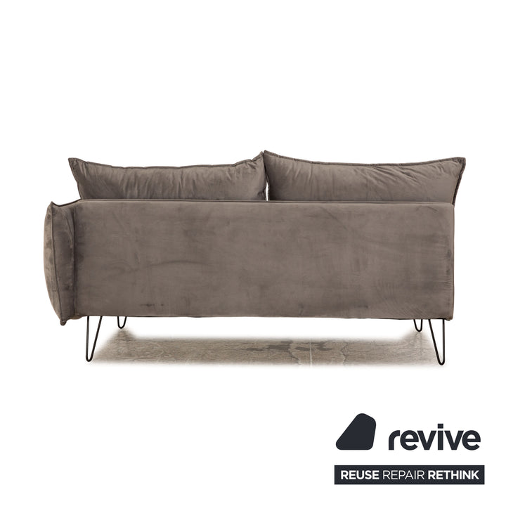 IconX STUDIOS Edesia Velvet Fabric Sofa Two Seater Grey