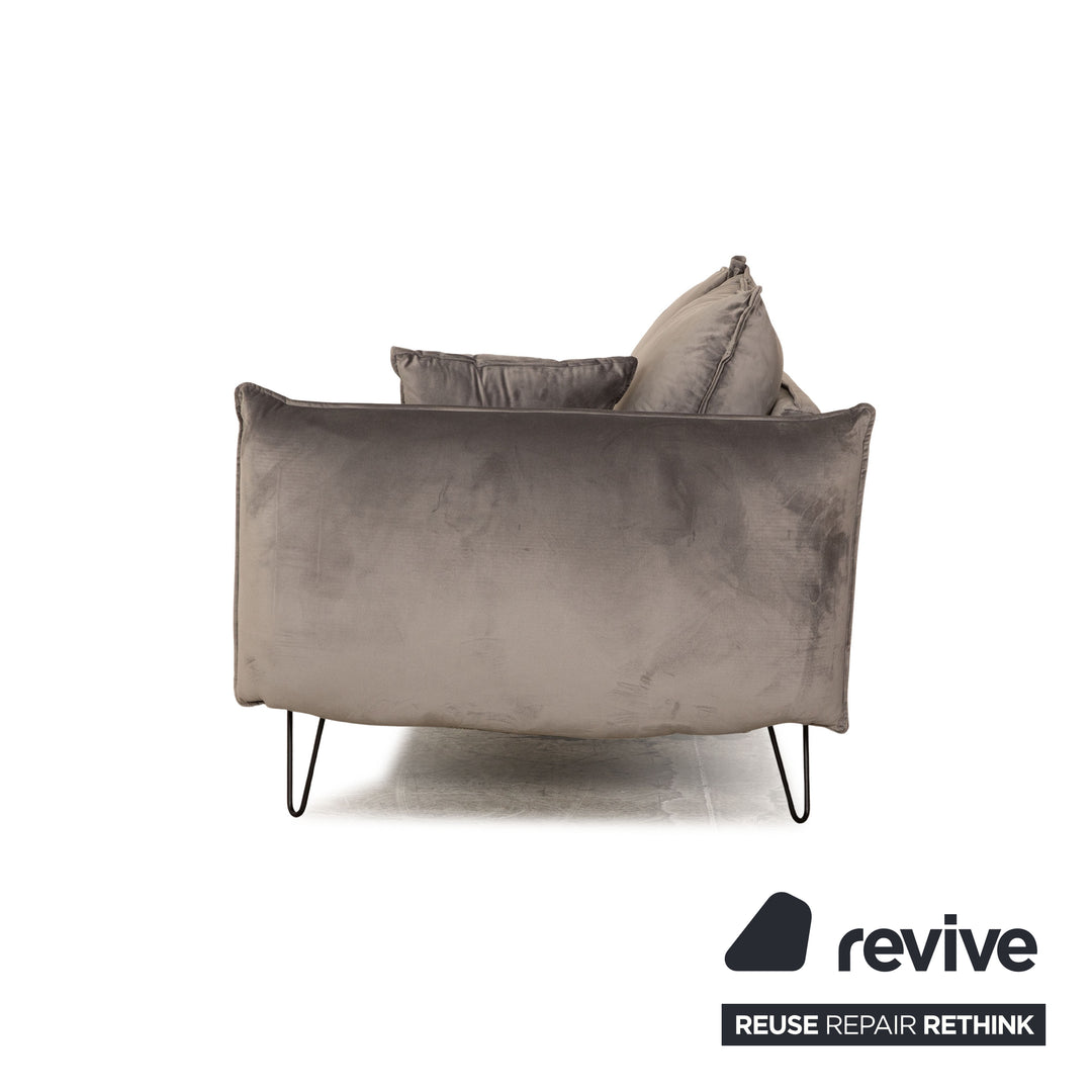 IconX STUDIOS Edesia Velvet Fabric Sofa Two Seater Grey