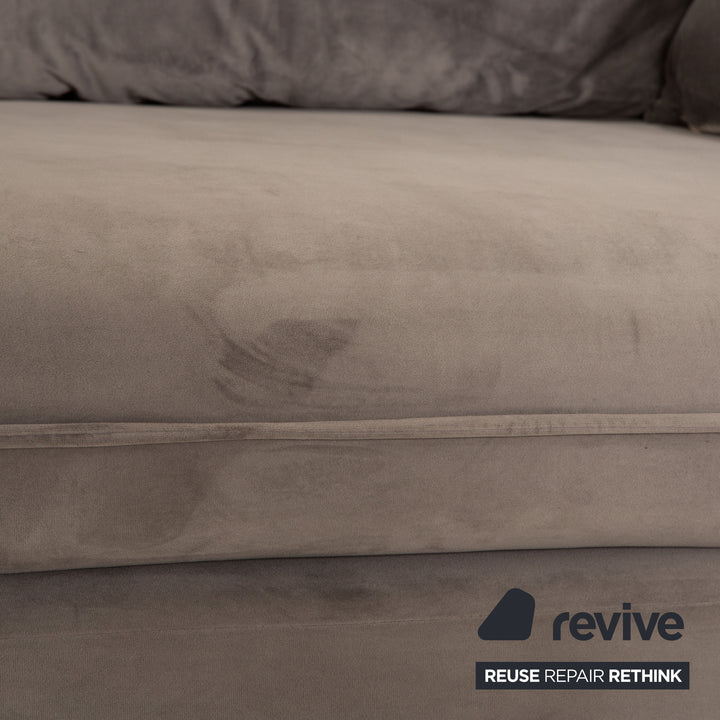 IconX STUDIOS Edesia Velvet Fabric Sofa Two Seater Grey