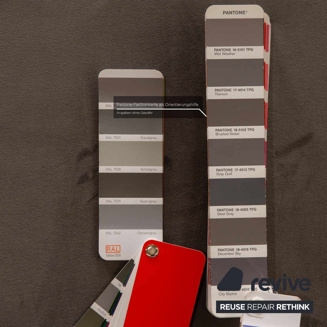 IconX STUDIOS Edesia Velvet Fabric Sofa Two Seater Grey