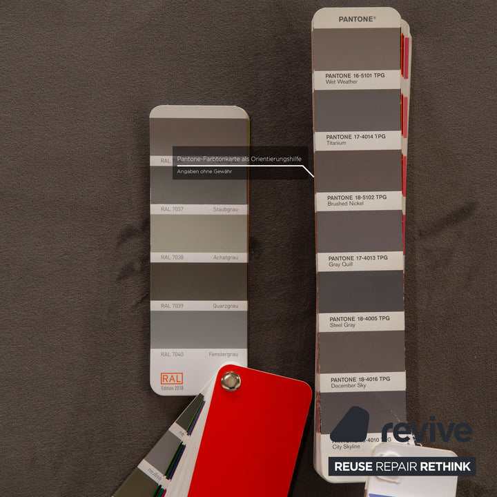 IconX STUDIOS Edesia Velvet Fabric Sofa Two Seater Grey