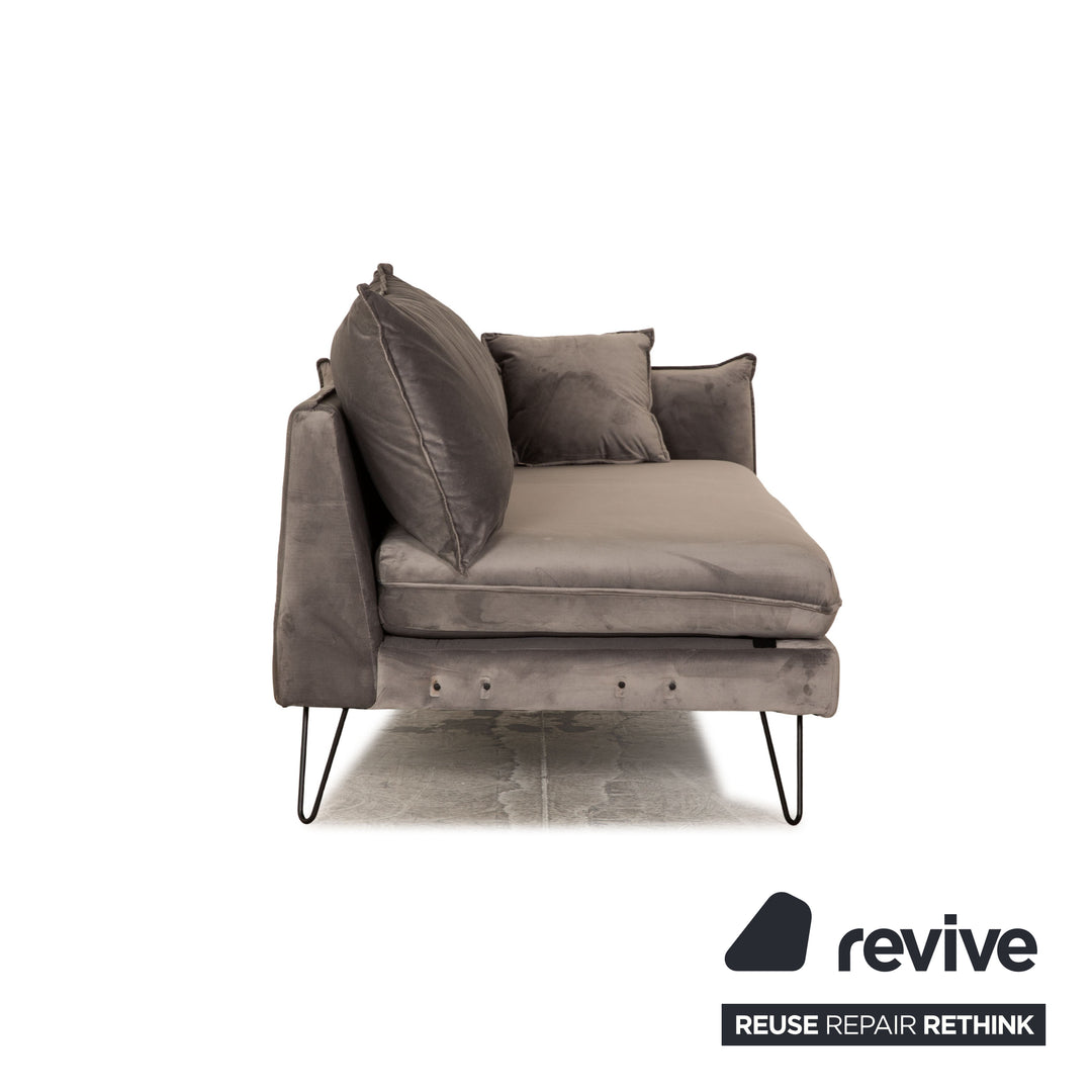 IconX STUDIOS Edesia Velvet Fabric Sofa Two Seater Grey