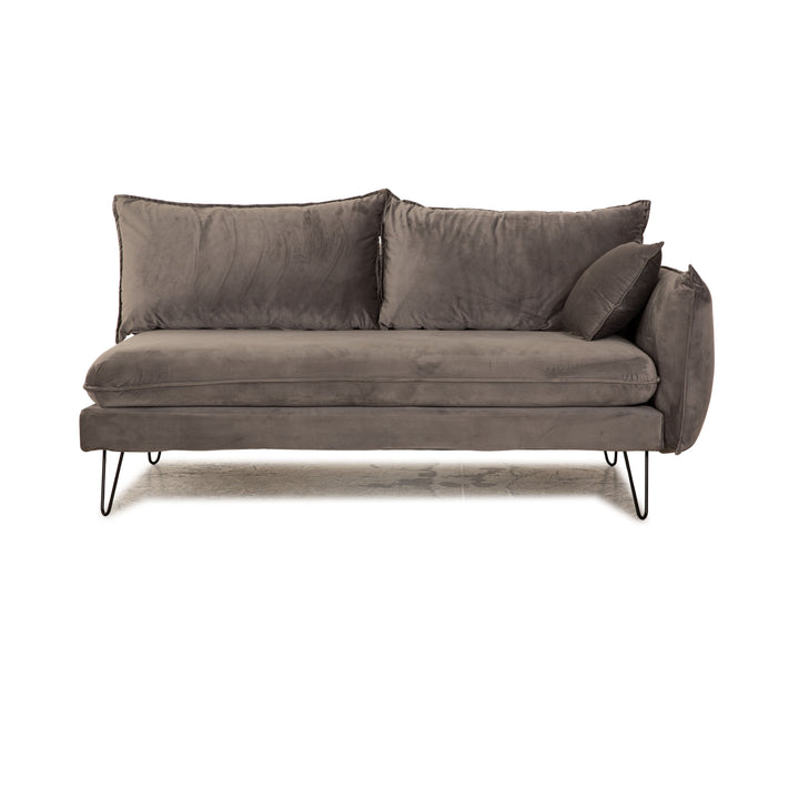 IconX STUDIOS Edesia Velvet Fabric Sofa Two Seater Grey