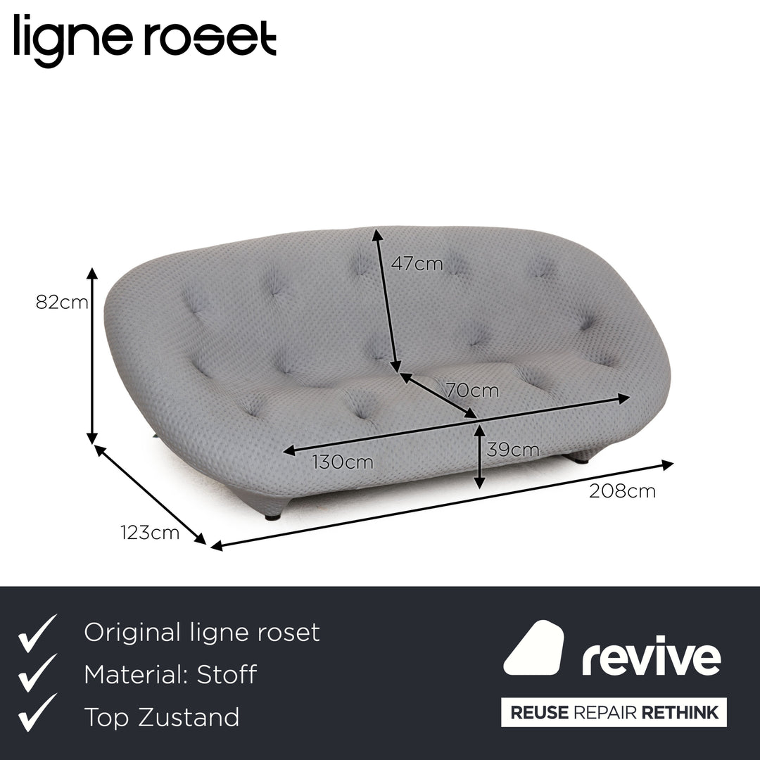 Ligne Roset Ploum Fabric Sofa Ice Blue Gray Two Seater Couch