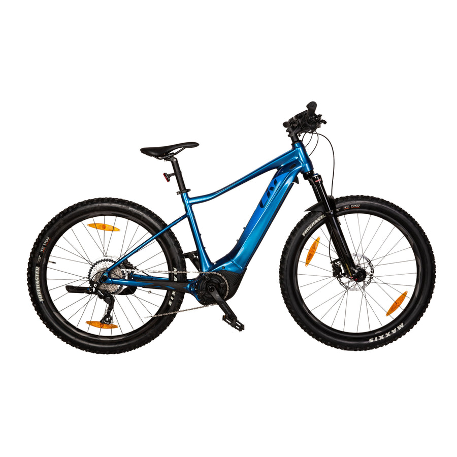 Liv VALL-E+ 2 PRO 2020 Aluminum E-Mountain Bike Blue RG M Bicycle Hardtail
