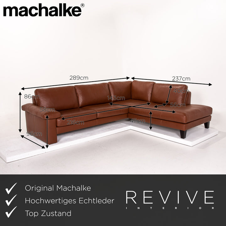 Machalke System Plus Leder Ecksofa Braun Sofa Couch #14656