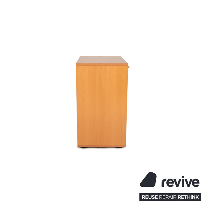 Möller Design Holz Sideboard Braun