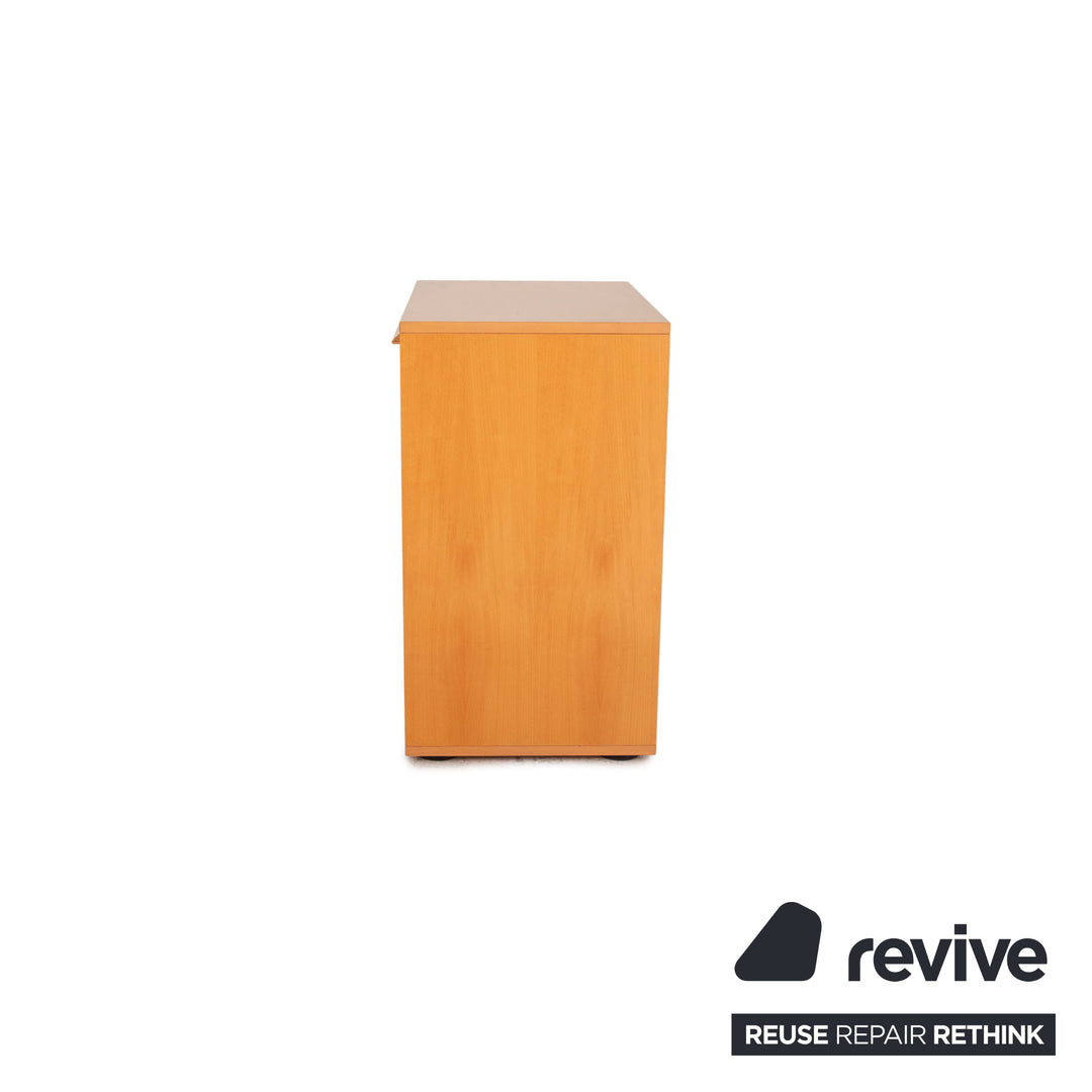 Möller Design Holz Sideboard Braun