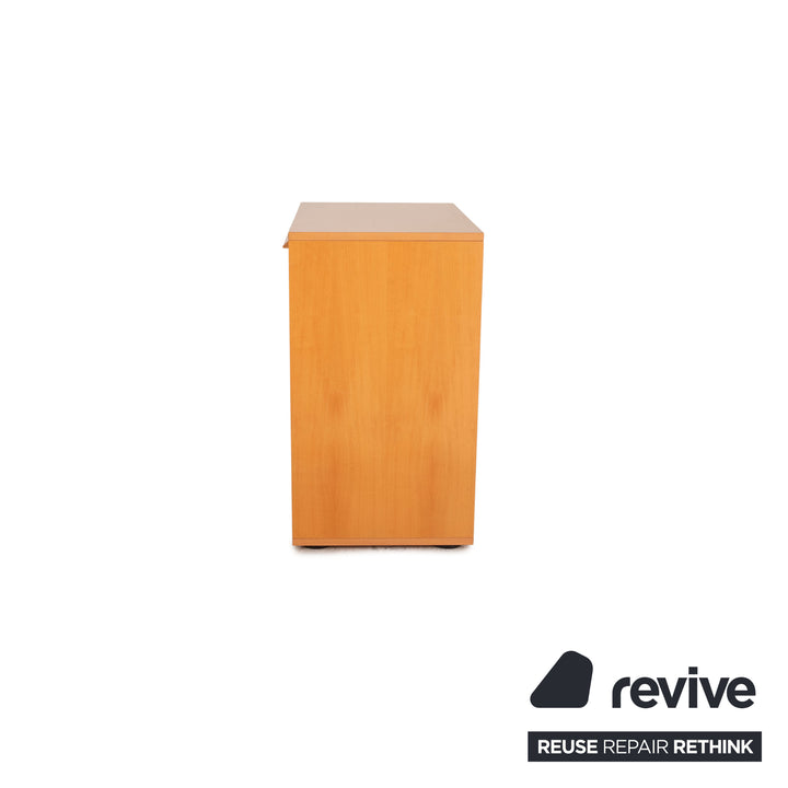 Möller Design Holz Sideboard Braun
