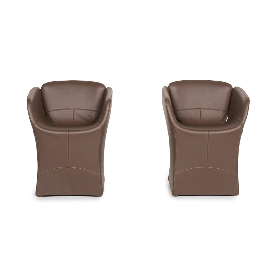 Moroso Bloomy Leather Armchair Set Brown #12748