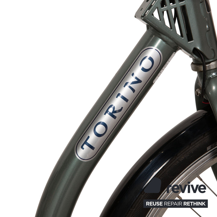 Pfautec Torino 2021 E-Cargo Bike Gray Green Bicycle cargo bike