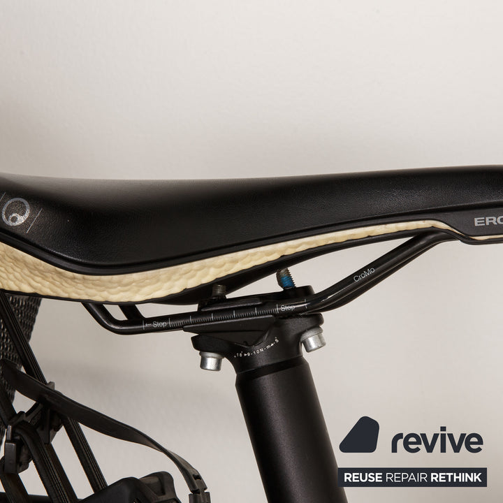 Riese &amp; Müller Delite NuVinci Vario 2017 aluminum e-trekking bike copper RH 49 bicycle