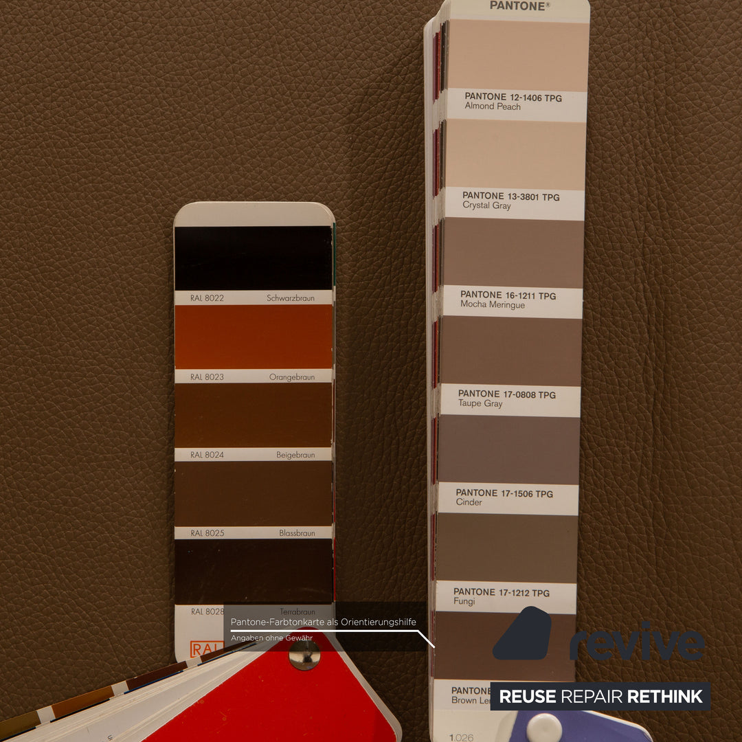 Rolf Benz 322 Leder Sessel Beige