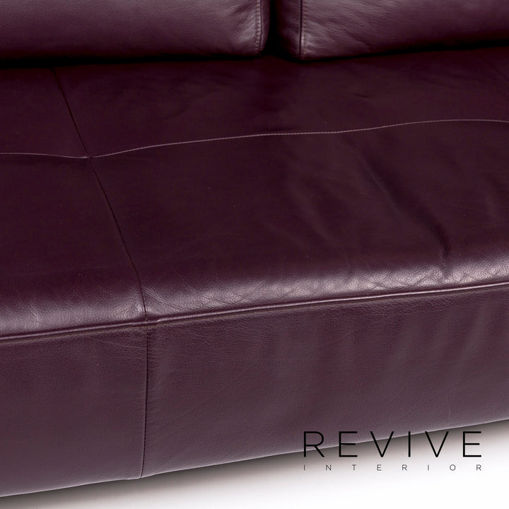 Rolf Benz Dono Leder Sofa Lila Violett Zweisitzer Couch #11003