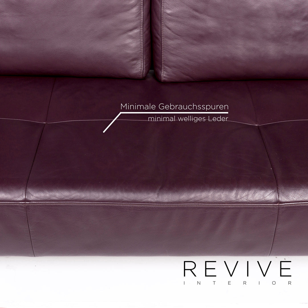 Rolf Benz Dono Leder Sofa Lila Violett Zweisitzer Couch #11003