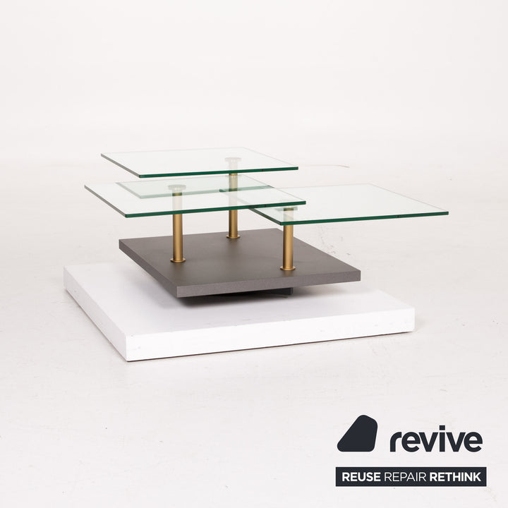 Ronald Schmitt K505 Glass Table Gray Coffee Table #14301