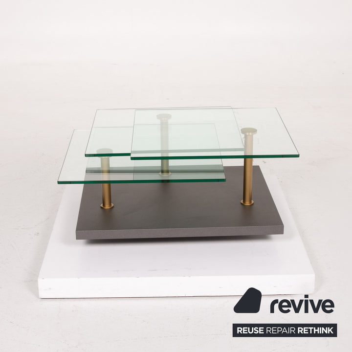 Ronald Schmitt K505 Glass Table Gray Coffee Table #14301