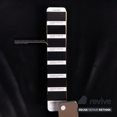 Team 7 Magnum Freischwinger Leder Stuhl Schwarz
