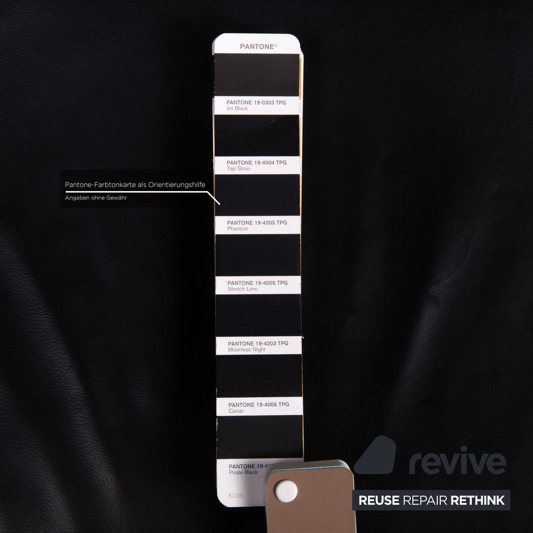 Team 7 Magnum chair set black 4x cantilever