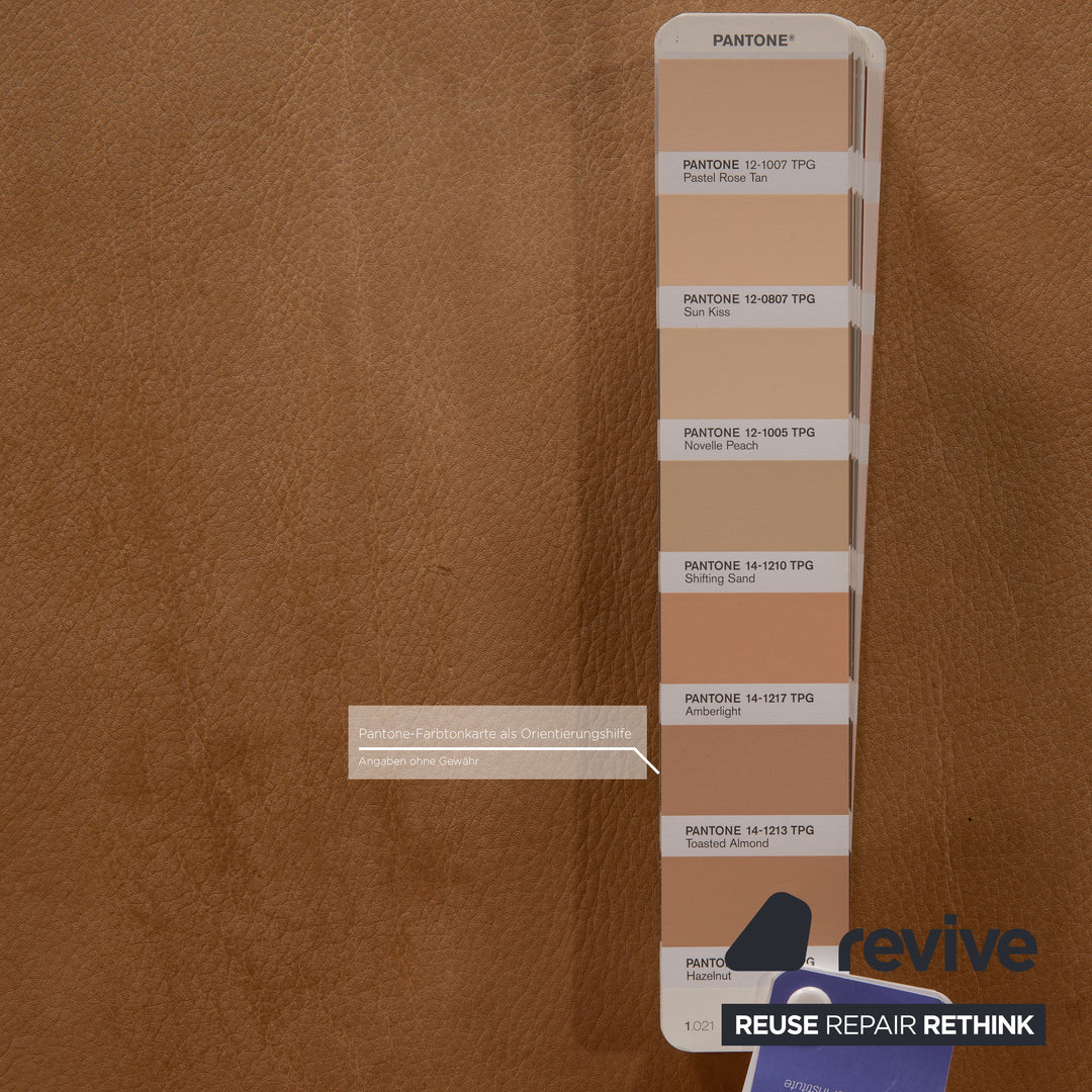 Tommy M by Machalke Landscape Leather Armchair Camel