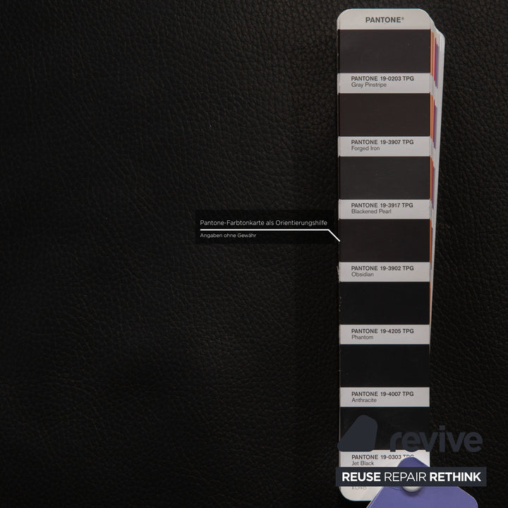 Willi Schillig Ergoline Armchair Longlife Leather Anthracite Relax function