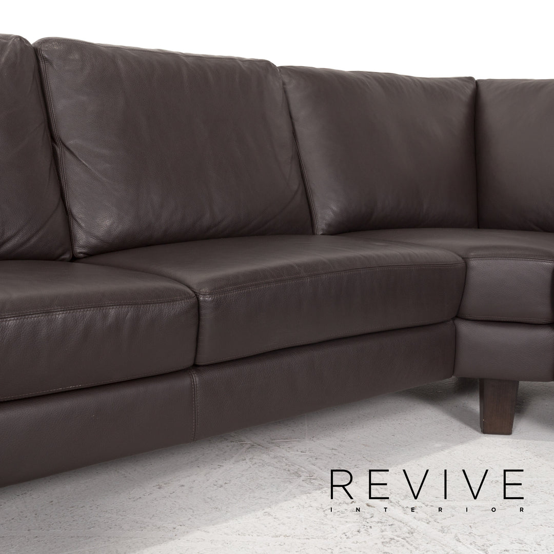 Willi Schillig Leder Ecksofa Braun Dunkelbraun Sofa Couch #13173