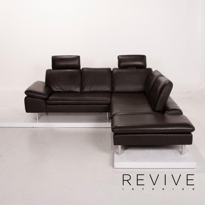Willi Schillig Loop Leder Sofa Dunkelbraun Ecksofa #15147