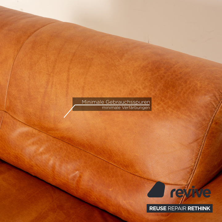 Willi Schillig William Leder Sofa Garnitur Braun Dreisitzer Zweisitzer Sofa Couch